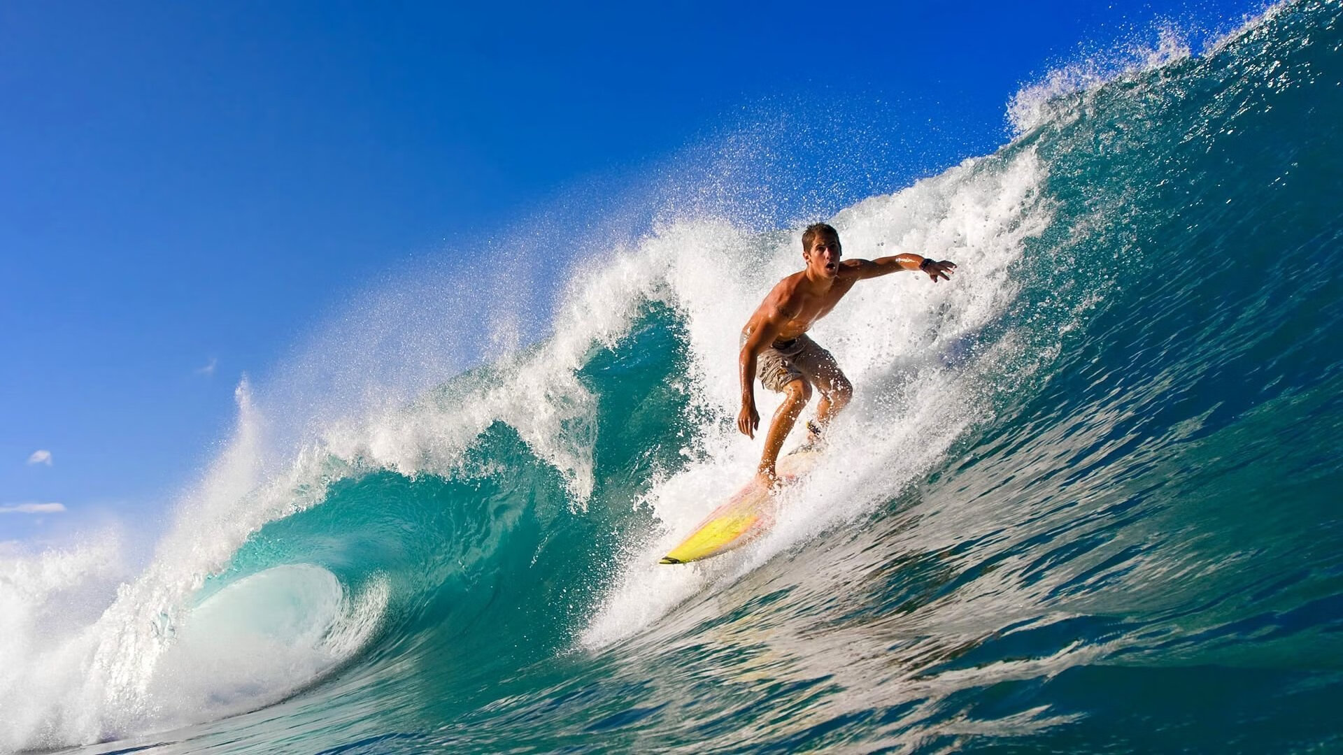 女篮精神让中国更加自信,中国女篮的精神给我的感受