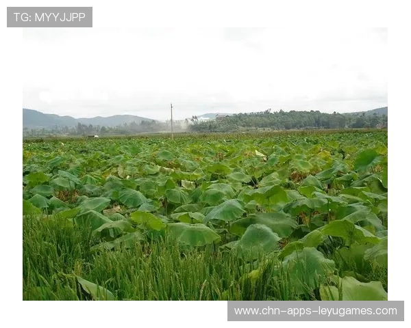 ¦ó+¡-+-¦+«Ê²+Ù+À+¸-¢¦¦Èý-ªú¼ãã¥ÍÂÈ-ÍÀ+¤¯+¯¦ªÁ-+Ï+_+õã¸